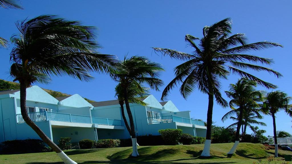 Timothy Beach Resort Frigate Bay Phòng bức ảnh