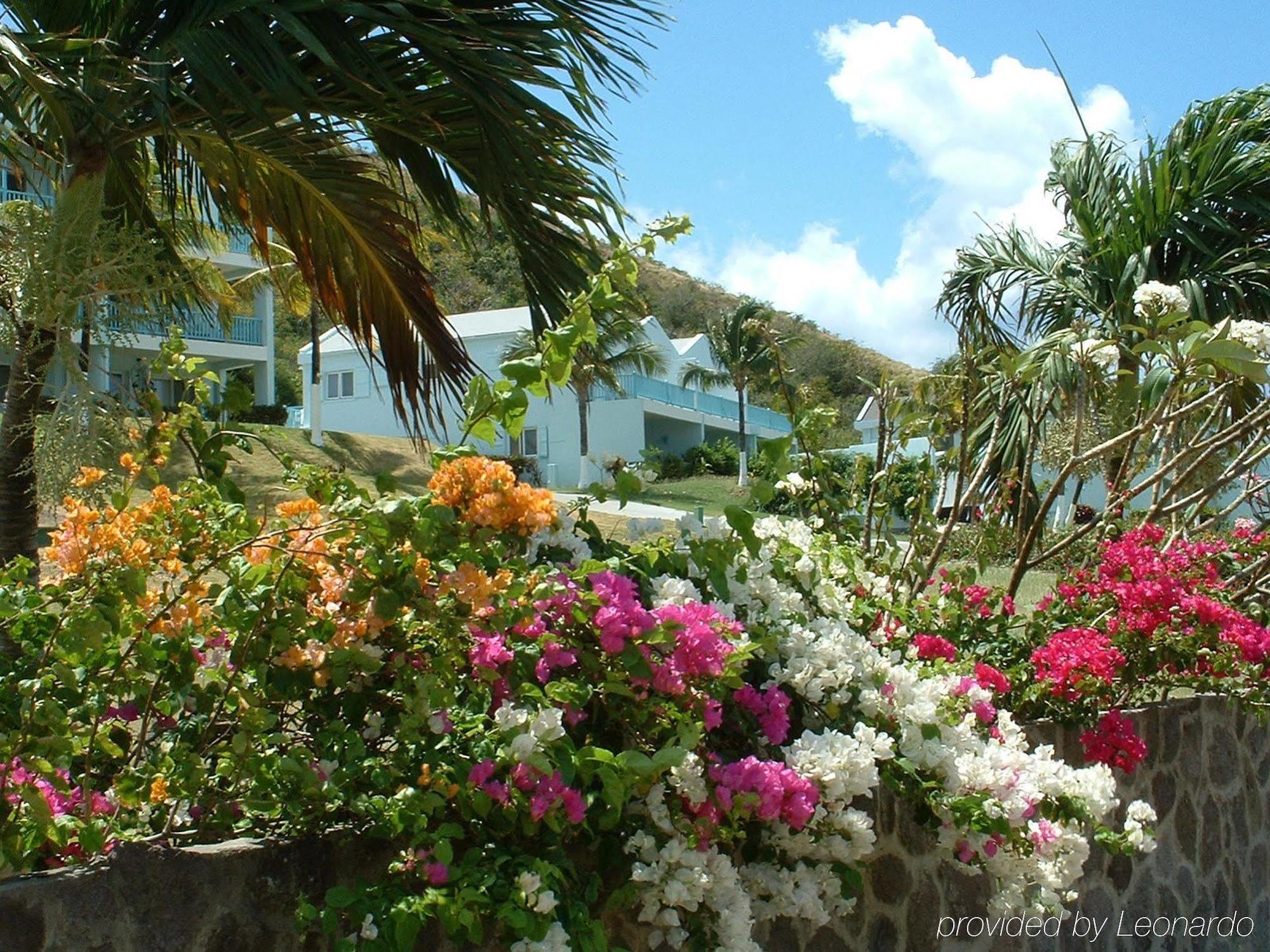 Timothy Beach Resort Frigate Bay Ngoại thất bức ảnh